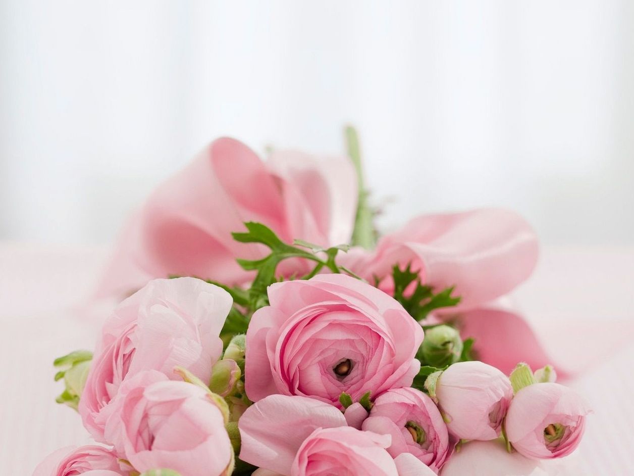 Transparent pricing document with sample flowers