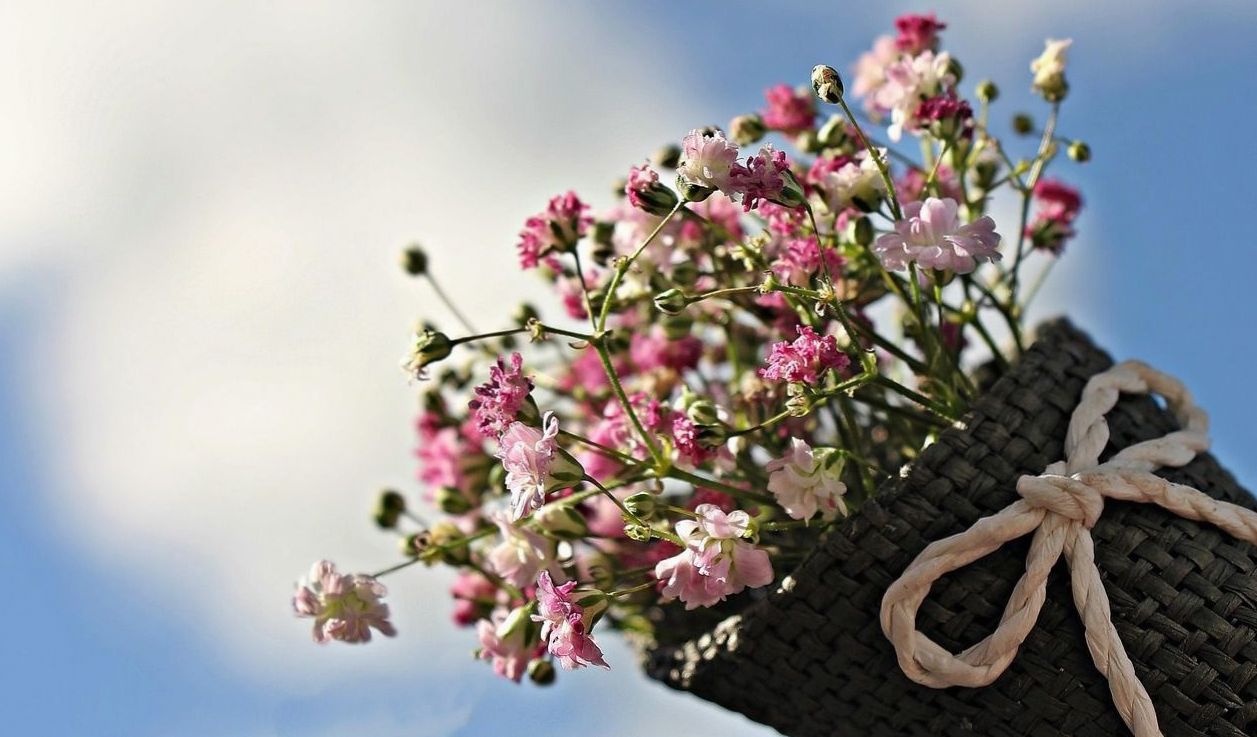 Editorial photograph of our floristry team
