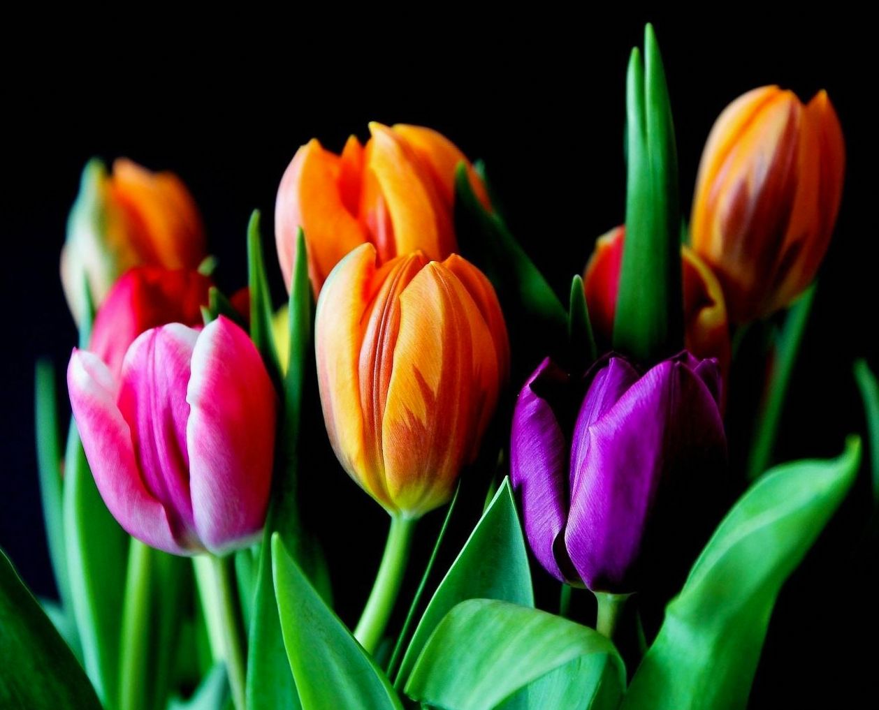 Fresh floral arrangement